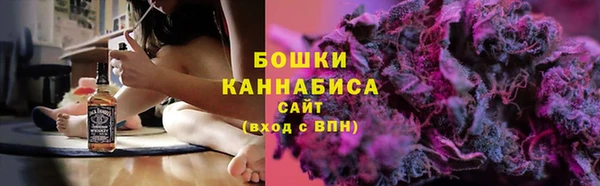мет Ельня