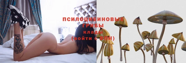 мет Ельня