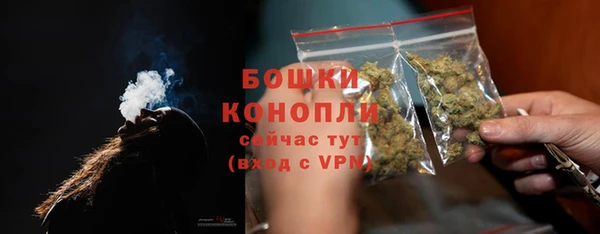 мет Ельня