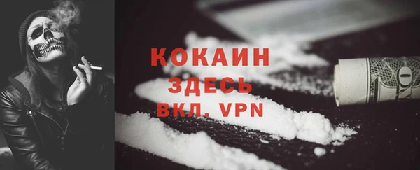 мет Ельня