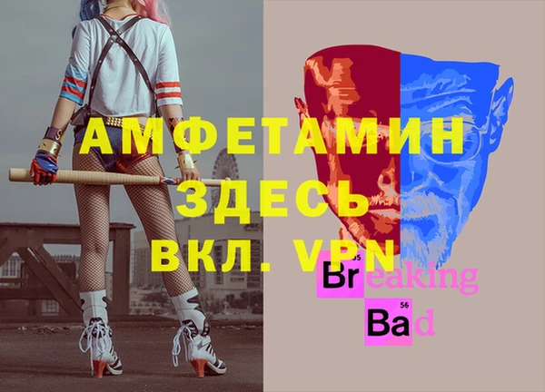 мет Ельня