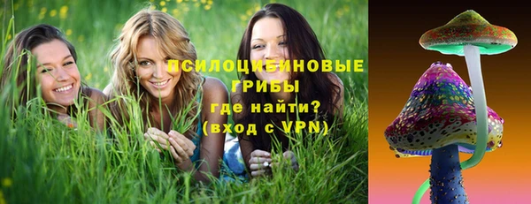 мет Ельня