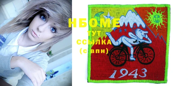 мет Ельня