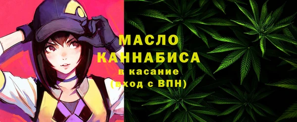 мет Ельня