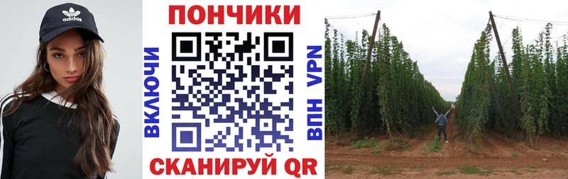 Купить  Приморск  Шишки марихуана Ganja 